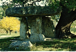 NÂ°38170 Z -cpsm Draguignan -la Pierre Aux FÃ©es- - Dolmen & Menhirs