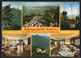 AK Rhodt /Pfalz, Gasthof Rietburg Von Otto Kuhr, Aussichtsterrassen  - Autres & Non Classés