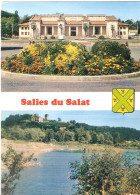 CPSM DE SALIES DU SALAT - Salies-du-Salat