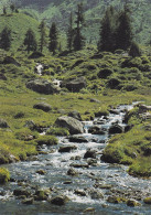 Ruisseau De Montagne, Photo E. Zbären - Altri & Non Classificati