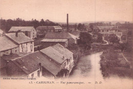 CARIGNAN VUE PANORAMIQUE - Autres & Non Classés