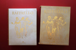 Raffaello Universale Claudio Striniati Scripta Maneant Reggio Emilia 2010 - Non Classés