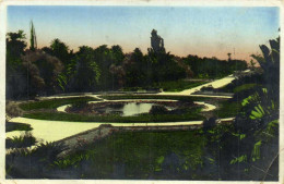 Alger Jardin D' Essai Piece D'eau Colorisée   RV - Algiers