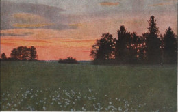 96007 - Landschaft Wiese Bei Sonnenuntrgang - Autres & Non Classés