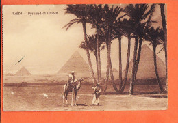 21972 / ⭐ ◉ CAIRO Egypt ◉  Pyramid Of GIZEH ◉ LE CAIRE 4 Pyramides Pyramiden 1920s ◉ The CAIRO Postcard Trust Serie 212 - Cairo