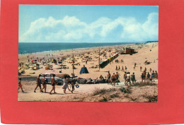 17----SAINT PALAIS SUR MER--vue Générale De La Plage De La Grande Cote--voir 2 Scans - Saint-Palais-sur-Mer