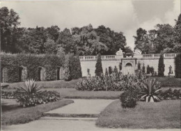 126923 - Potsdam, Sanssouci - Sizilianischer Garten - Potsdam