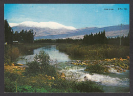 115681/ Jordan River And Mt Hermon Covered With Snow  - Israel