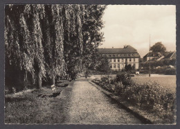 119773/ ST. WENDEL, Stadtpark - Kreis Sankt Wendel