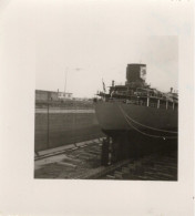 PHOTO-ORIGINALE- BATEAUX - 44-ST-NAZAIRE UN PETROLIER 1955 - Bateaux