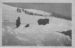 Livigno (Sondrio) - Spalatura Neve - Cartolina Fotografica Con Scritto A Retro Marino Galli - Sondrio