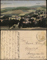 Wüstewaltersdorf Walim Panorama-Ansicht, Blick Zur Zedlitzhaide 1910 - Schlesien