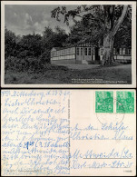 Ansichtskarte Rottleberode-Südharz Ferienheim "Ritterberg" 1966 - Other & Unclassified