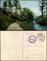 Ansichtskarte Chemnitz Stadtpark 1915  Gel. Feldpoststempel Reserve Lazarett C. - Chemnitz