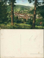 Ansichtskarte Triberg Im Schwarzwald Panorama-Ansicht, Totalansicht 1910 - Triberg