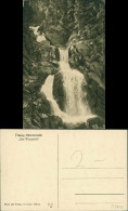 Triberg Im Schwarzwald Kaskaden-Wasserfall (Waterfall) Im Schwarzwald 1920 - Triberg