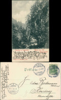 .Baden-Württemberg Felsenthor Im Schlüchthal Schwarzwald 1905  Stempel THIENGEN - Autres & Non Classés