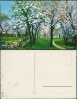 Ansichtskarte  Stimmungsbild Frühling, Baum-Blüte 1920 - Andere & Zonder Classificatie