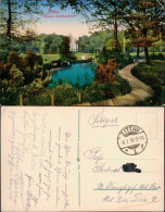 Ansichtskarte Zittau Weinaupark Weinau, Goldfischteich 1918  Gel. Feldpost - Zittau