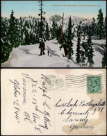 Kanada (allgemein) Top Of Grouse Mountain, North Vancouver, B.C. Canada 1911 - Ohne Zuordnung