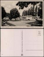 Pirna Geibeltbad Austragungsort Der Schwimm-Meisterschaften Der DDR 1950 1950 - Pirna