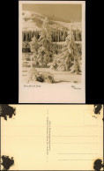 Postcard Krummhübel Karpacz Prinz-Heinrich-Baude Im Winter 1934 - Schlesien