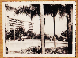26430 / ⭐ ALGER 13 Juin 1959 Gouvernement Général Vue Du Jardin D' Enfants Algérie Photographie 127x103mm - Algiers