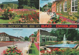 20910 - Bad Driburg U.a. Kurhaus-Kurhotel - 1984 - Bad Driburg