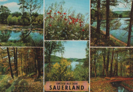 27901 - Sauerland - Mit 6 Bildern - 1963 - Sonstige & Ohne Zuordnung