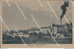 Ba645 Cartolina Pedavena Fabbrica Birra Provincia Di Belluno - Belluno