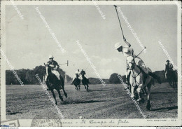 Bd435 Cartolina Brioni Il Campo Di Pola Croazia - Autres & Non Classés