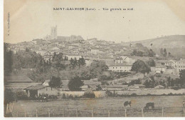 Saint Galmier Vue Générale - Autres & Non Classés