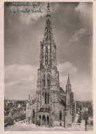 5071 - Ulm A.d. Donau - Münster - 1951 - Ulm