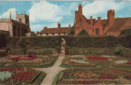 92909 - Grossbritannien - Stratford-upon-Avon - Knott Garden, New Place - 1967 - Stratford Upon Avon