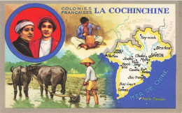 MIKIBP14-059- COCHINCHINE VIET NAM COLONIES FRANCAISES EDITION LION NOIR - Vietnam