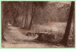 ST-HONORÉ-LES-BAINS - AU DÉFEND - SOUS-BOIS (58) - Saint-Honoré-les-Bains