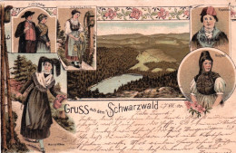 Deutschland - Gruss Vom SCHWARZWALD - 1900 - Autres & Non Classés