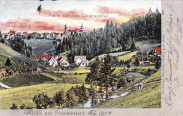 Deutschland - Bade Wurtemberg - Gruss Aus FREUDENSTADT - Partie Aus Dem Christophsthal - 1903 - Freudenstadt