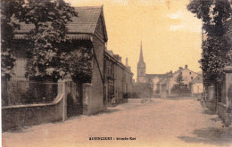 25 - Doubs -   AUDINCOURT - Grande Rue ( Carte Toilée ) - Autres & Non Classés