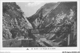 AKCP5-0419-ALGERIE - BLIDA - Les Gorges De La Chiffa - Blida