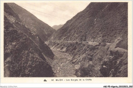 AKCP5-0404-ALGERIE - BLIDA - Les Gorges De La Chiffa - Blida