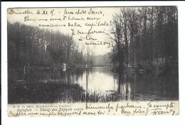 Boitsfort  -  Etang Des Enfants Noyés - Watermael-Boitsfort - Watermaal-Bosvoorde