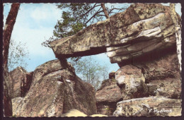 EN FORET DE FONTAINEBLEAU AUX GORGES DE FRANCHARD L ARCHE DES DRUIDES 77 - Autres & Non Classés