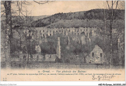 AKEP6-0429-EUROPE - BELGIQUE - ORVAL - Vue Générale Des Ruines  - Autres & Non Classés