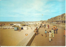 BERCK-PLAGE (62) Esplanade Parmentier  CPSM  GF - Berck