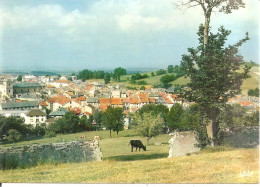 YSSINGEAUX (43) Vue Générale  CPSM  GF - Yssingeaux