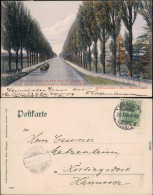 Mülhausen Mulhouse Partie Bei Der Napoleoninsel Am Rhein-Rhone-Kanal 1904 - Other & Unclassified