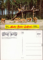 Schloß Holte-Stukenbrock Hollywood- Und Safaripark Stukenbrock 1990 - Other & Unclassified