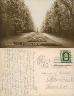 Postcard Olmütz Olomouc Smetanovy Sady 1926 - Czech Republic