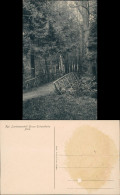 Großschweidnitz (OL) Swóńca Kgl. Landesanstalt - Park 1913  - Grossschweidnitz
